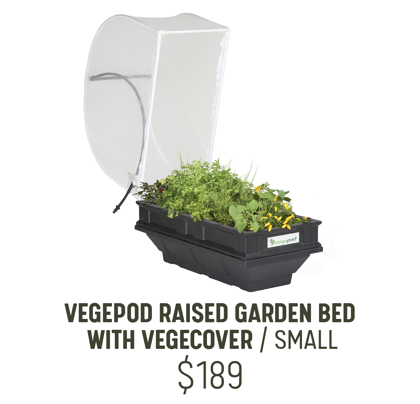 Vegepod Small