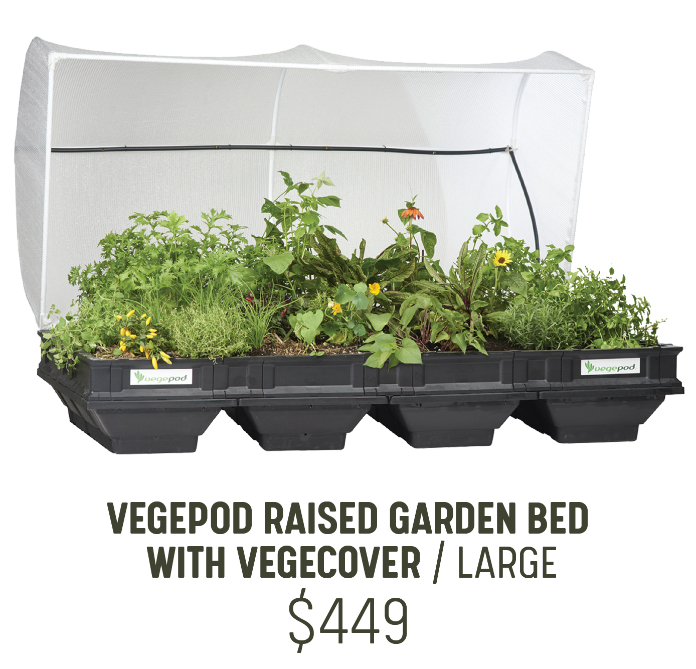 Vegepod Large